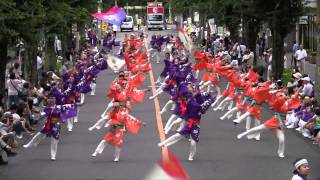 妃龍〔坂戸よさこい2011　北坂戸１会場〕