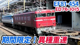 【4K】【期間限定の異種重連】JR貨物EF81-454+ED76-1015牽引5075レ 鹿児島本線小倉駅通過シーン+おまけ