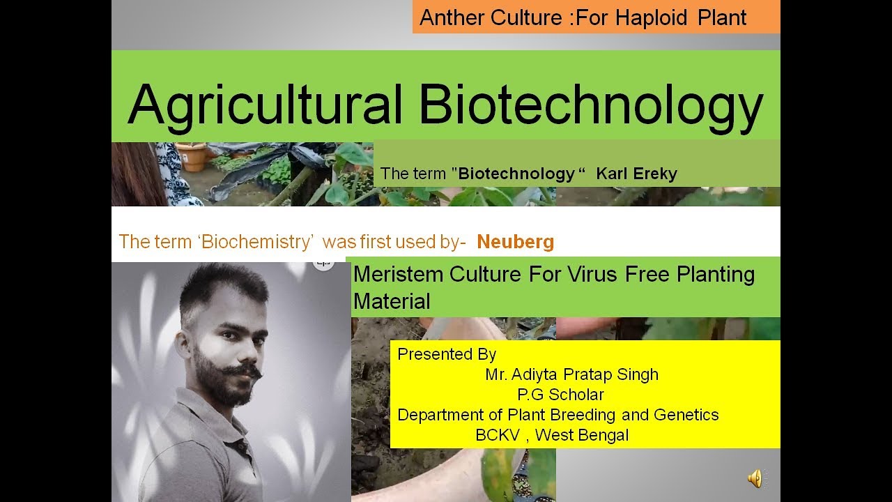 Agricultural Biotechnology - YouTube