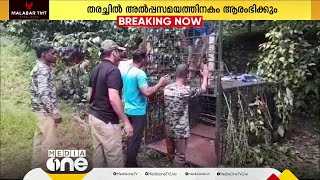 വയനാട് പനവല്ലിയിൽ കടുവയെ മയക്കുവെടിവെക്കാൻ ഉത്തരവ്, തെരച്ചിൽ ഉടൻ ആരംഭിക്കും