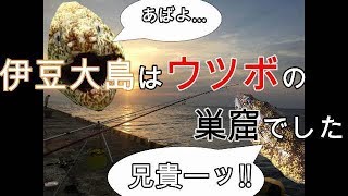 【伊豆大島　元町港】タマン釣りたかった... またリベンジします！