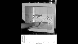 Stanford engineers develop a device for measuring how birds take flight