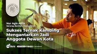 Nur Agis Aulia, Sukses Ternak Kambing Mengantarkan Jadi Anggota Dewan Kota