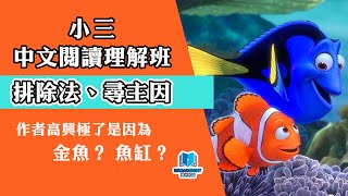 小學中文教學｜小三｜閱讀理解｜排除法、尋主因｜作者高興是因為金魚還是魚缸？