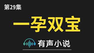 有声小说：一孕双宝：总裁爹地求抱抱 第29集_一孕双宝：总裁爹地求抱抱