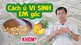 Hướng dẫn ủ VI SINH khóm