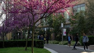 UC Irvine retracts nearly 500 admission offers