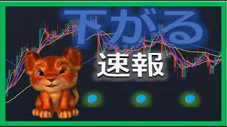 【仮想通貨ビットコイン今後】レンジを制す！初心者でもわかるテクニカル分析