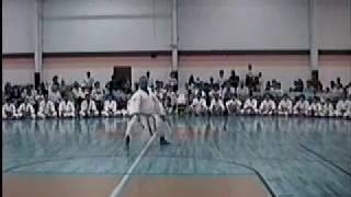 Soke Tim Brooks - Seienchin - Shito Ryu