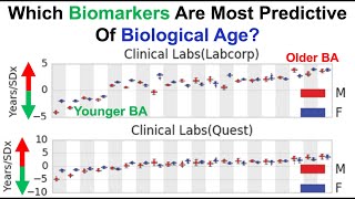 Which Biomarkers Are Most Predictive Of Biological Age?