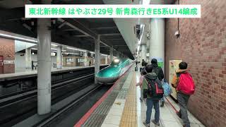 東北新幹線 はやぶさ29号 新青森行きE5系U14編成 2024.12.27