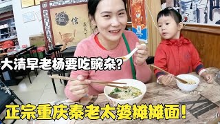 改造云南出租屋，打造我们的温馨小家，大清早老杨要吃豌杂？正宗的秦老太婆摊摊面【春夏游记】