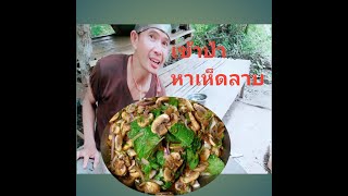 ต่อแซ่บep.1ลาบเห็ดป่า เข้าป่าหาเห็ดมาทำเมนูแซ่บๆกัน