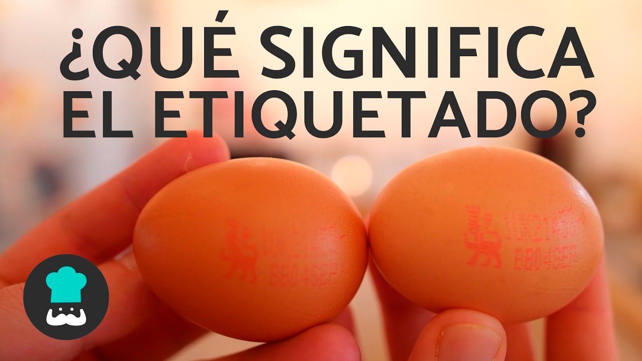 ¿Qué Significan Los Números De Los HUEVOS DE GALLINA? - Descubre Qué ...