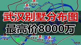 武汉别墅分布图，含独栋、双拼联排和部分叠拼。