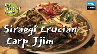 [The Taste of Korea] 01 Siraegi Crucian Carp Jjim (with Eng sub)