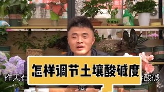 硫酸亚铁要配合柠檬酸？都是骗人的！养花如何维持酸碱度？