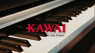 KAWAI CN37 Digital Piano