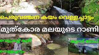 The Hidden Waterfalls of Kerala||Gods Own Country||Kottayam|Idukki|#Waterfalls