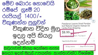 රම්පේ ග්‍රෑම් 20 ක් 1200/= ඩොලර්  7 $ ආලෙවිකරන විදිහ සියලුම රහස් සමග මාසෙට ලක්ශ ගනන් මුදල් හරියටම කර