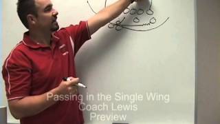 Shortpunter's Passing in the Single Wing preview