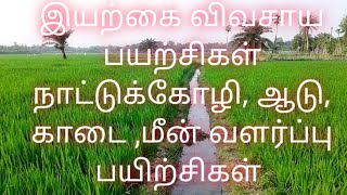 இயற்கை விவசாயம் சார்ந்த பயிற்சிகள்,மீன்,ஆடு, நாட்டுக்கோழி,காடை