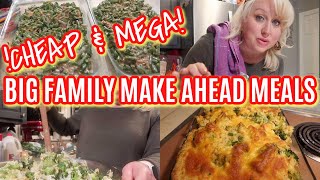 BUDGET LARGE FAMILY MAKE AHEAD MEALS FOR THE HOLIDAYS | Feeding a Crowd & FREEZER FRIENDLY!