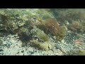 scuba diving in denmark below hm queen margrethe huge yacht