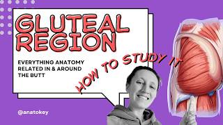 Gluteal Region Walkthrough ; A "Blank Sheet" method example