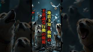 地震予知と動物の不思議な行動の関係【 都市伝説 雑学 予言 南海トラフ 地震 】