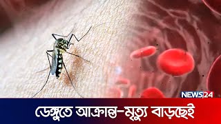 পটুয়াখালী থেকে ডেঙ্গুর সার্বিক পরিস্থিতি | News24