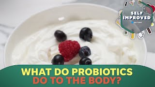 What are probiotics? These are the health benefits | SELF IMPROVED