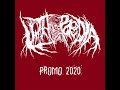 lithopaedia promo 2020 full promo