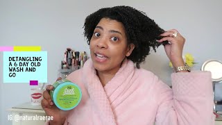 WATCH ME PRE-POO \u0026 DETANGLE MY 6 DAY OLD WASH AND GO with Curl Peace Detangling Treatment