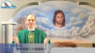 每日聖言分享 【常年期第二十週星期一(瑪 19:16-22)】 耶穌聖心金邦尼傳教會夏子明神父