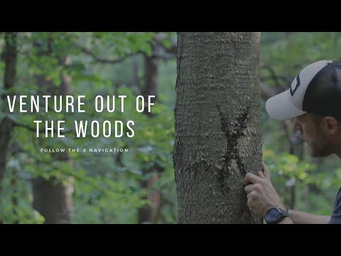 Survival navigation: find your way out of the forest