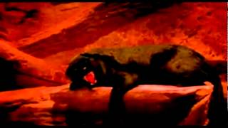 David Bowie Cat People Putting Out Fire Music Video HQ