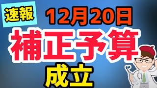 速報！12月20日補正予算が成立！令和3年度2021年度第一次補正予算！事業復活支援金・持続化補助金・IT導入補助金ものづくり補助金・事業再構築補助金・18歳以下10万円給付【マキノヤ先生】第923回