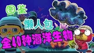 【动森】全40种海洋生物图鉴懒人包攻略，助你轻松达成全收集！