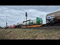 trainspotting bombardier railpool lineas 186 448 elok traxx f140 ms starting after red signal