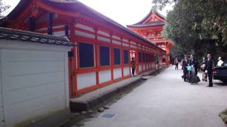 10041611下鴨神社着〜