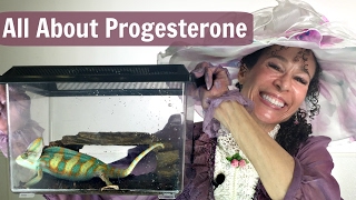 Progesterone: The Changing Chameleon Hormone for Menopause - 36