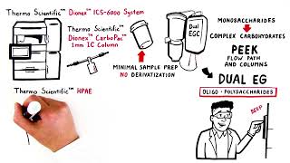 Combined Carbohydrate with Dual EGC and 1mm CarboPac Columns Whiteboard Video