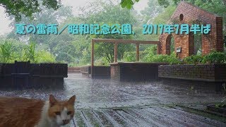 夏の雷雨／昭和記念公園、2017年7月半ば (Bernstein 1964)