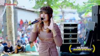 CAMELIA MUSIC - LURUH CINTAKU - RIA ANDIKA - ANNIVERSARY CAHPOSINX - PENDEM KEMBANG JEPARA