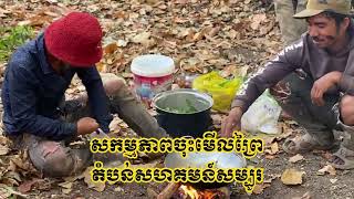 សកម្មភាពដើរល្បាតព្រៃសហគមន៍សម្បូរ