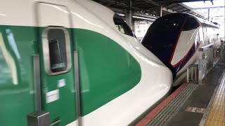 東北新幹線 E2系（200系カラー）新幹線 なすの262号 大宮到着