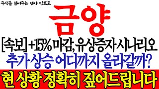 [금양 주가전망] *속보* +15% 마감, 유상증자 시나리오! 추가 상승 어디까지 올라갈까? 현 상황 정확히 짚어드립니다!    #금양 #금양주가전망