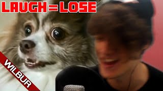 If I Laugh I Get A Noise Complaint (YLYL)