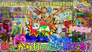 新台 PAわんわんパラダイスCELEBRATION 朝一からわんパラを朝一から打てば勝てるのか！？どうなる？ ヒゲパチ 第1903話 甘デジ 海物語